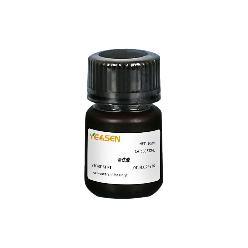 Masson   Stain Kit  Masson染色试剂盒 货号60532ES58翌圣生物