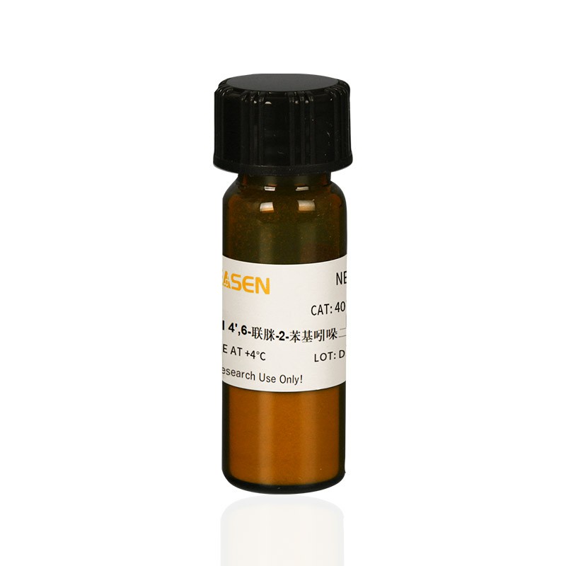 DAPI核酸染料 Yeasen/翌圣生物 货号40727ES10