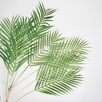 ins simulation of sharp leaves scattered leaves sunflower leaves take pictures of leaves green plants with green leaves