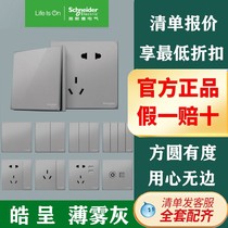 Schneider Hao mist gray 86 type panel double two three four single double control midway multi-control switch