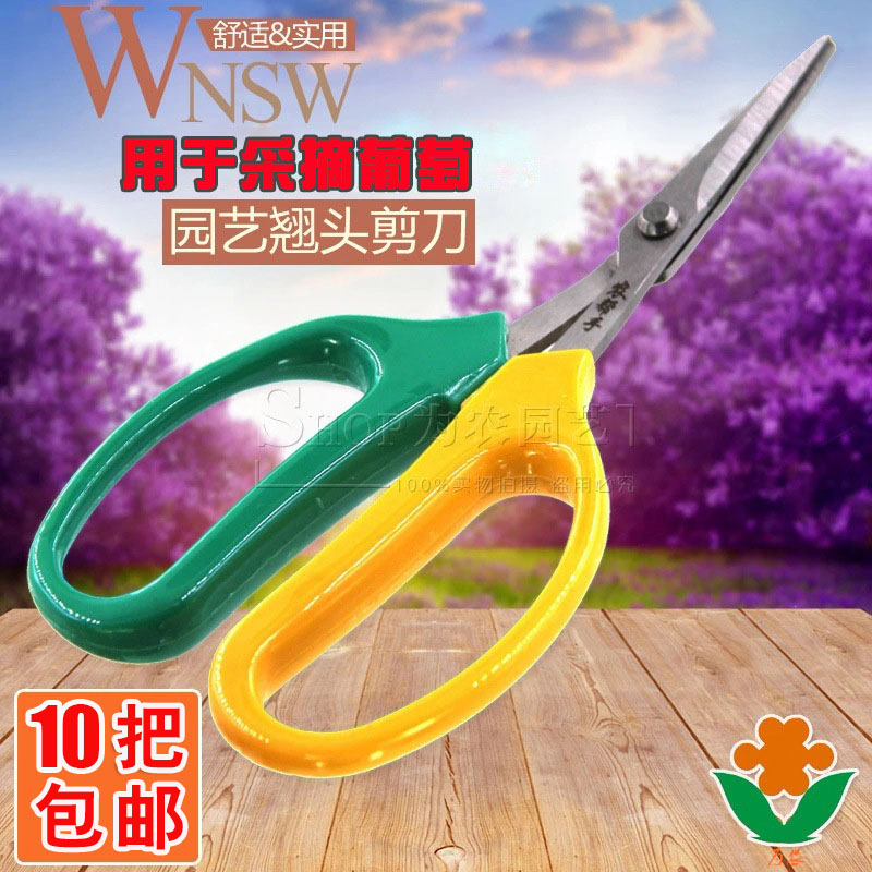 Garden warping head gardening scissors fruit tree knife fruit picking scissors designated style vegetable and fruit scissors grape orange scissors citrus picking scissors