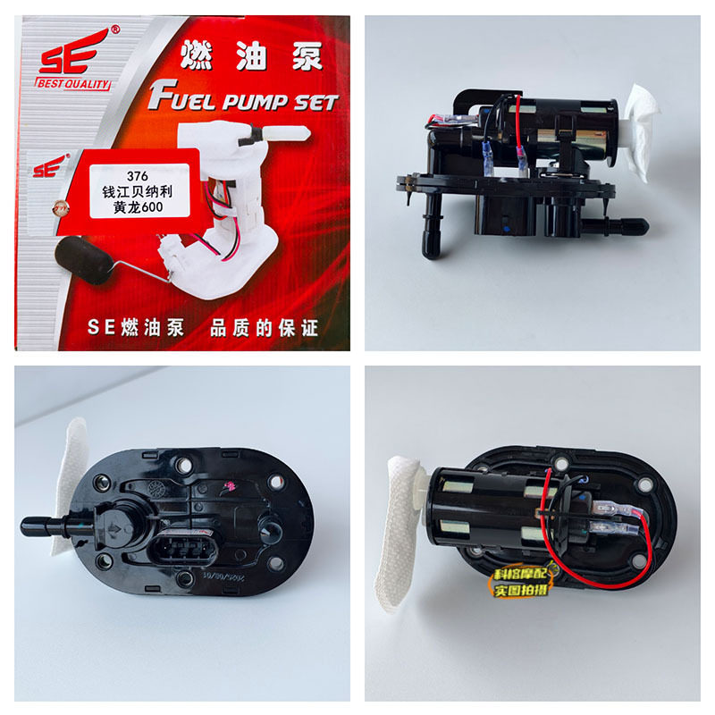 Suitable for Electric Injection Motorcycles Qianjiang Benelli Huanglong 600 Motorcycle Fuel Pump Gasoline Pump Oil Float Assembly