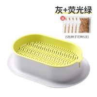 Нет землистого гидравлического серого зеленого [дай 5 пакетов семян]