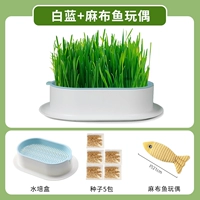 Гидропоновая и синяя почва нет [дайте 5 пакетов семян]+игрушечная рыба