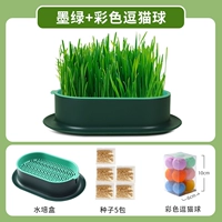 Нет практической чернила Земля [отправить 5 пакетов семян]+игрушечный шарик