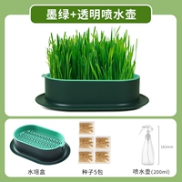 Нет практических чернил, зеленая+спрей, дать 5 пакетов семян]