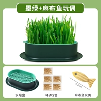 Нет практической чернила Земля [дайте 5 пакетов семян]+игрушечная рыба