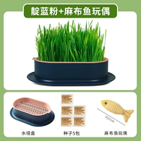 Нет земной гидравлический синий порошок [дайте 5 пакетов семян]+игрушечная рыба