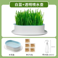 Нет гидравлического белого порошка для почвы+чайник с брызги 【Дайте 5 упаковок семян】