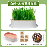 Нет гидравлического белого порошка почвы [дайте 5 упаковок семян]+мухотяню линглонг (колокольчик)