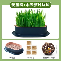 Гидравлический синий порошок Земли [дайте 5 пакетов семян]+muotian 蓼 珑 珑 珑 (модель Bell Ball)