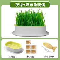 Серо -зеленый без земной гидропоны [дайте 5 упаковок семян]+игрушечная рыба