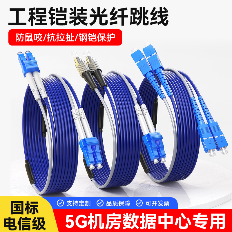 Rat-Proof Armored Fiber Optic Patch Cord Sc to Lc-Fc-St Single-Mode Dual-Core 4/6/8-Core 10g Multi-Mode Fiber Tail Cable