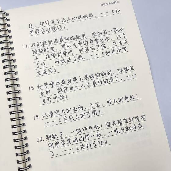 Floral Script Calligraphy Book: Birds in Flight Collection, Cctv Copywriting, Eighteen Floors Cctv Regular Script Calligraphy Book, Lemon Beautiful Font Practice Book