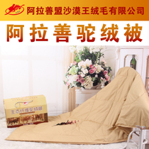 Arashan Desert King Camel Suede Quilt by Single Double Autumn and Winter Four Seasons is Married To Warm Origin