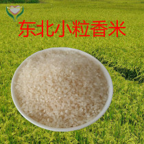 Northeast pearl rice small grain fragrant rice farmhouse self-prolific ecological rice