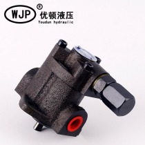 Cycloid pump top-12a triangle lubricating oil pump head oil gear pump