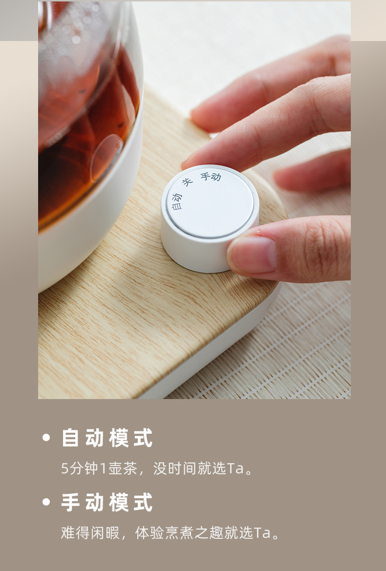 The Self - "appropriate content electric TaoLu boiling kettle boil tea ware web celebrity tea stove the white tea household automatic glass side