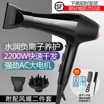 Flying Eco High Power Negative Ion Hair Dryer Home Without Injury Hair Salon Hair Salon Hairdressshop Cold Hot Wind Big Wind Power Blow