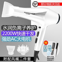 Flying Coelectric Blow Dryer High Power Home Negative Ion Hair Salon Special Hairdryer Electric Hair Dryer FH6102