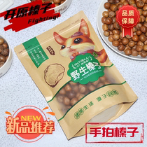 Hazelnuts a special product of Northeast China new wild products from Tieling Shenyang Liaoning special A-grade extra-large originals in bags