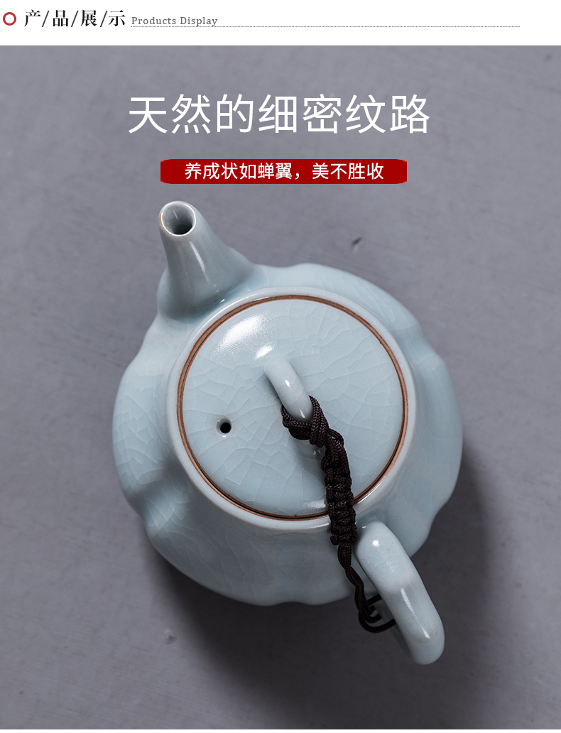 Treasure minister 's ceramic teapot your up xi shi pot of kung fu tea set home little teapot with filter single pot