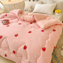 Hengyuan Xiangxiang Quadruple Seasons General Winter Winter Heating Warm Reserve Warm House Space Wash Cotton Conditioned by Spring and Autumn Winter