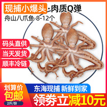 Net red long-legged small octopus fresh seafood frozen aquatic products
