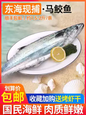 Zhoushan big shark fish Fresh frozen deep-sea fish Fresh sea fishing mackerel seafood Mackerel stuffing dumplings Raw aquatic products