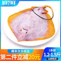 Zhoushan whole boss fish devil fish fresh plaice fish old fish Ningbo Laozi fish fresh frozen seafood aquatic products