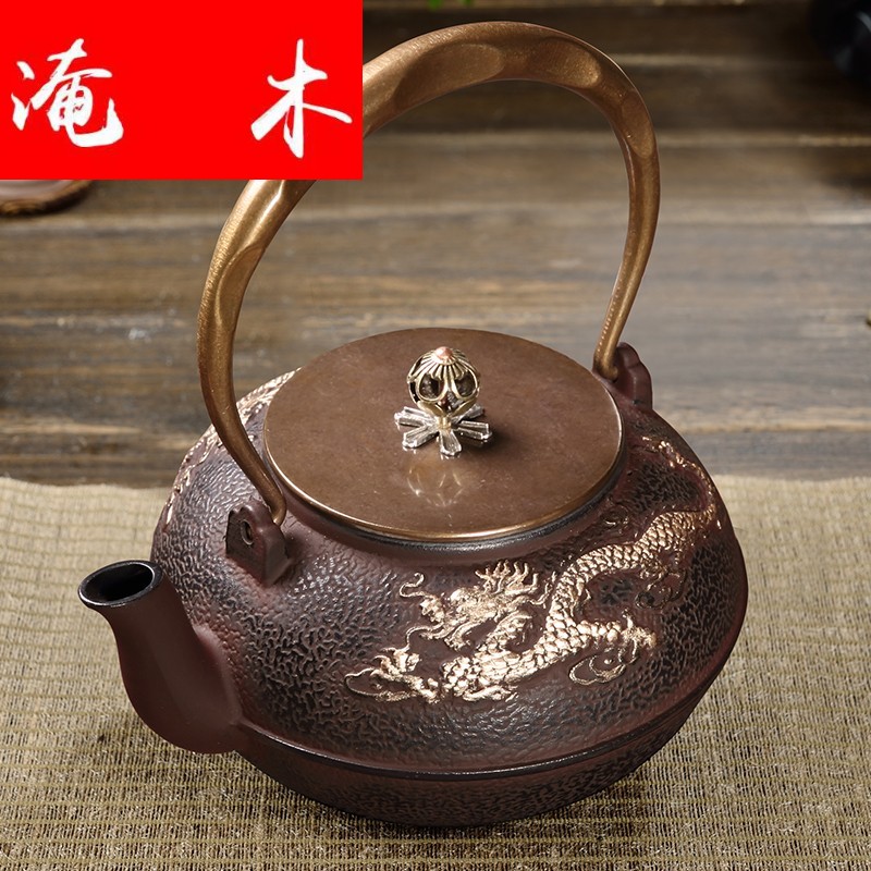 Submerged wood auspicious dragon cast iron pot of electric TaoLu suit uncoated iron teapot iron bottles of cooking kettle softening water quality in the south