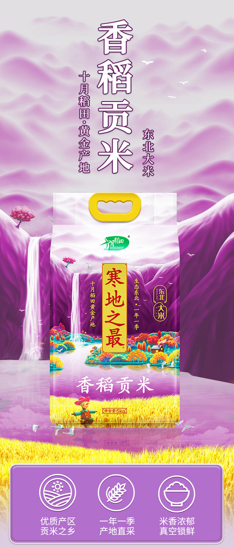 安享好物 安享D级粳米-十月稻田寒地之最香稻贡米 国标 