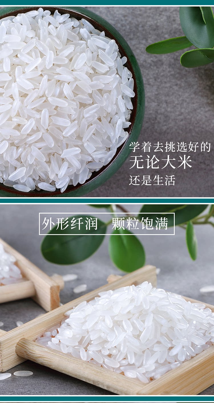安享好物 安享A级粳米-十月稻田寒地之最五常大米 国标 