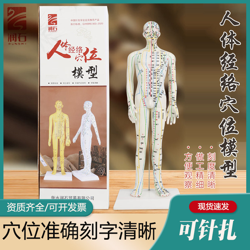 润石针灸人体模型52cm穴位全身中医十二经络铜人模特图练习小皮人