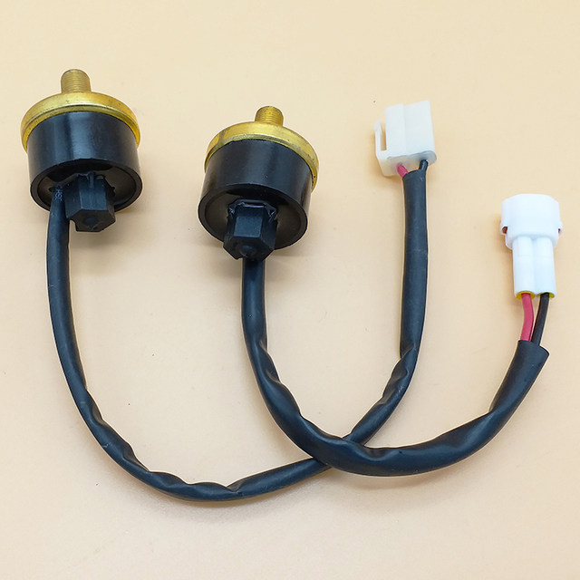 Daojue Electric Car Sedan Cool Run Pioneer S Tangjun Vacuum Pump Pressure Switch Sensor Sensing Plug