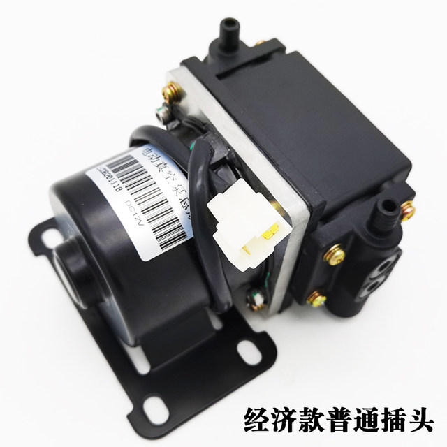 New Energy Electric Vehicle Vacuum Pump Brake Booster Air Pump Jinpeng Hongri Daojue Baoya Low-Speed Vehicle Special Pump
