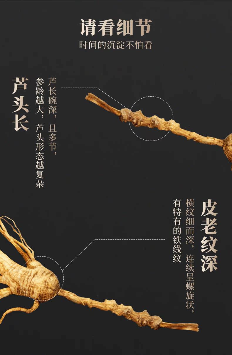 Детали лесного ginseng_13.jpg