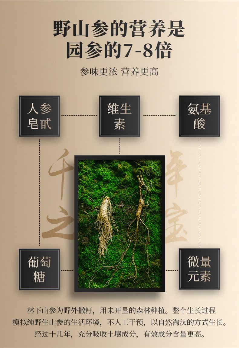 Детали лесного ginseng_10.jpg