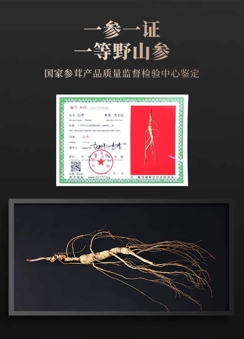 Детали лесного ginseng_11.jpg