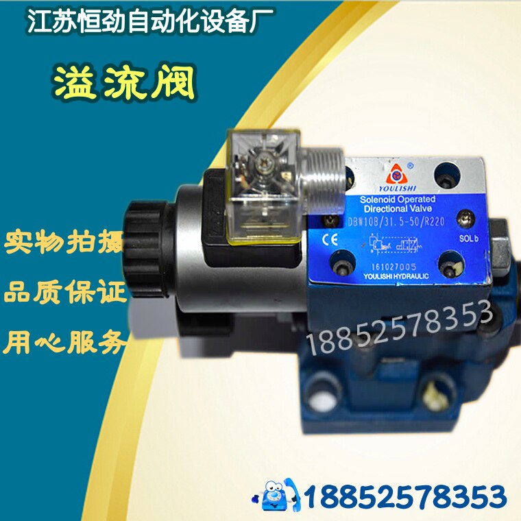 Hydraulic pilot type electromagnetic overflow valve DBW10B-1-50B 3156CG24N9Z5L