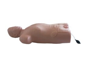 股动脉穿刺模型 股动脉穿刺训练教学模型 医学用模型