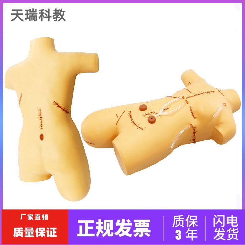 伤口拆线换药模拟人 外科缝合包扎展示模型 全身清创缝合训练教学