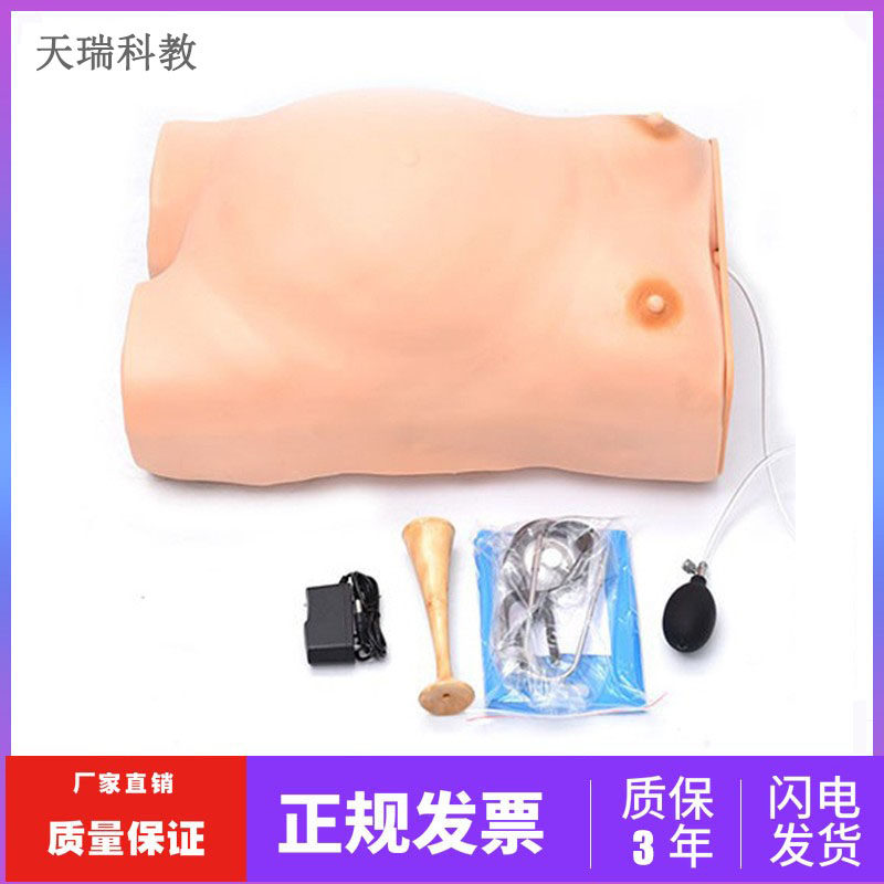 FW2高级电脑孕妇检查模型(带胎儿心音听诊) 孕妇产前检查模型医用