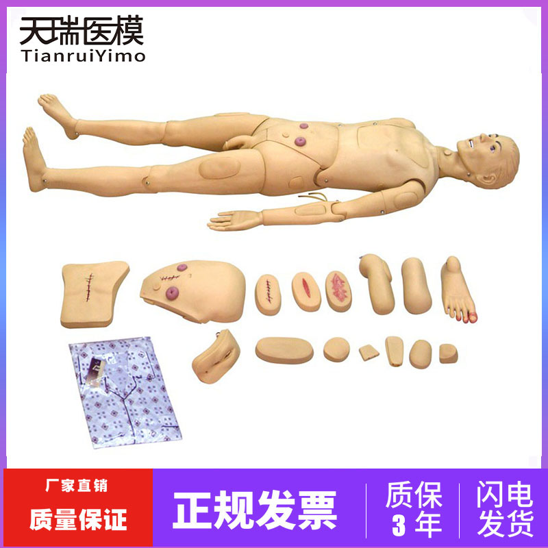 高级全功能护理人模型 静脉输液穿刺导尿操作护理模拟人 医教学用