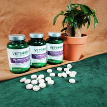 (Green Tiger Studio)Green Cross Vets Best Cat Grass hair Film Cat Hair Removal Ball 60 tablets with anti-counterfeiting