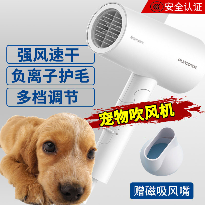 Pet Hair Dryer High Power Small Dog Gold Wool Teddy Kitty Dogs Special Blow Hair Theater Bath Blow-drying