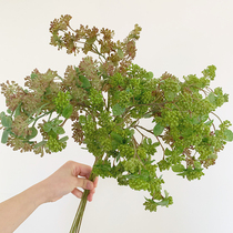 Simulation berry green plant clove bean small berry home soft decoration wedding decoration