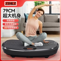 ZDKZ lazy fat removal machine shake machine fitness massage sports equipment shake machine rhythm motivation lazy person weight loss artifact