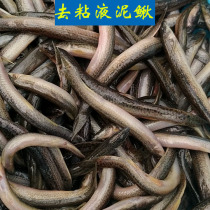 Fresh mucilage frozen Loach section fish feed frozen river shrimp dragon fish food frozen shrimp forest frog small fish