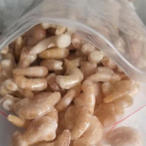 Small fish aquarium frozen river shrimp fish eating shrimp segment dragon fish 𫚉 fish tiger fish horned frog crocodile turtle feed frozen loach